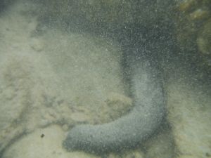 DSCF2797.JPG