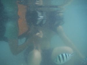 DSCF2799.JPG