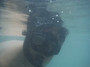DSCF2802.JPG