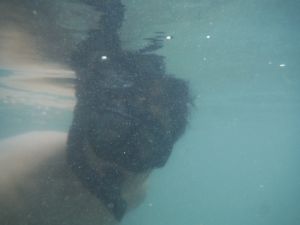 DSCF2803.JPG