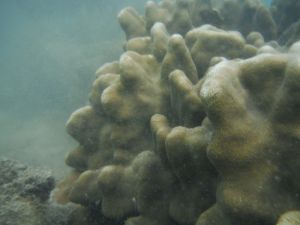 DSCF2806.JPG