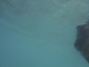 DSCF2808.JPG