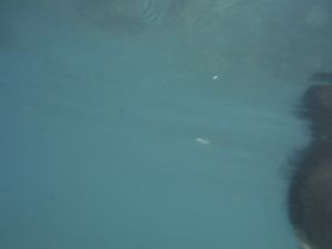 DSCF2809.JPG