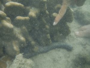 DSCF2810.JPG