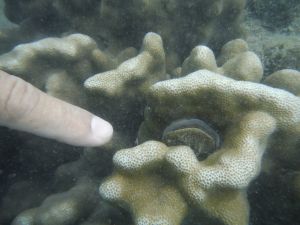 DSCF2811.JPG