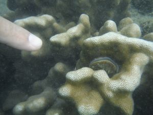 DSCF2812.JPG