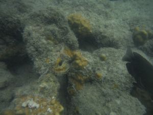 DSCF2813.JPG