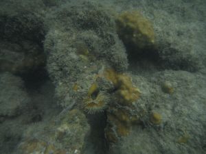 DSCF2814.JPG