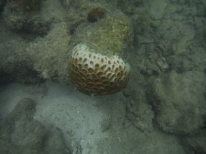 DSCF2816.JPG