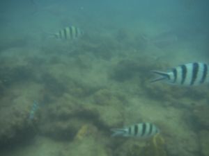 DSCF2817.JPG