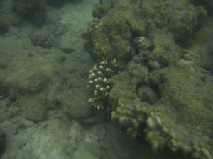 DSCF2818.JPG