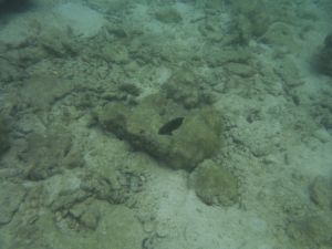 DSCF2819.JPG