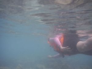 DSCF2821.JPG
