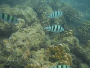 DSCF2822.JPG