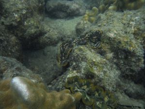 DSCF2825.JPG