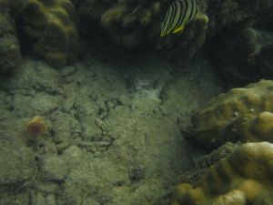 DSCF2826.JPG