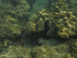 DSCF2830.JPG