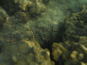 DSCF2831.JPG