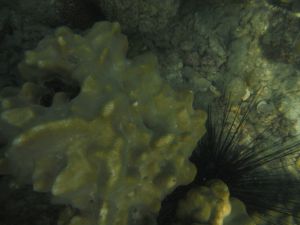 DSCF2832.JPG