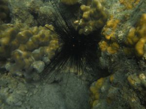 DSCF2833.JPG
