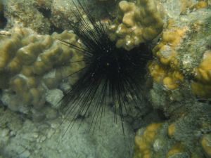 DSCF2834.JPG