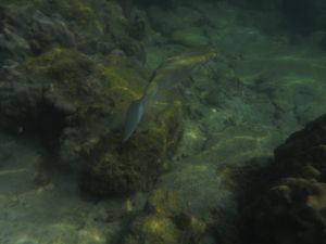 DSCF2835.JPG
