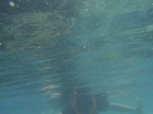 DSCF2838.JPG
