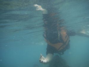 DSCF2839.JPG