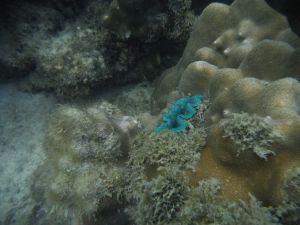 DSCF2843.JPG