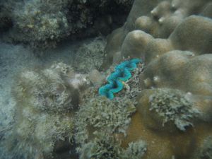 DSCF2844.JPG