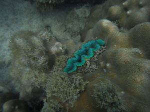 DSCF2845.JPG