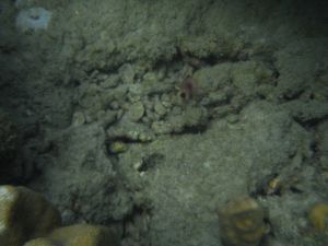 DSCF2848.JPG