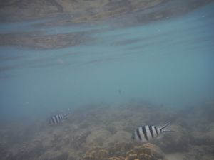 DSCF2865.JPG