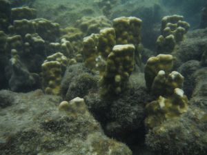 DSCF2869.JPG