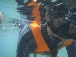 DSCF2883.JPG