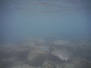 DSCF2886.JPG