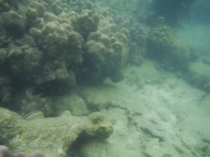 DSCF2887.JPG