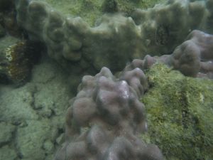 DSCF2888.JPG