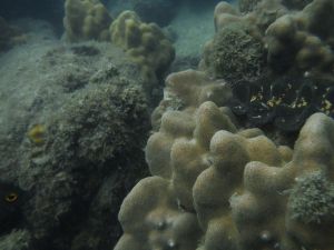 DSCF2889.JPG