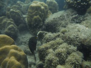 DSCF2891.JPG