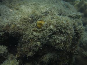 DSCF2898.JPG