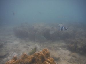 DSCF2899.JPG