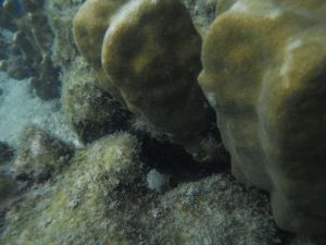 DSCF2901.JPG