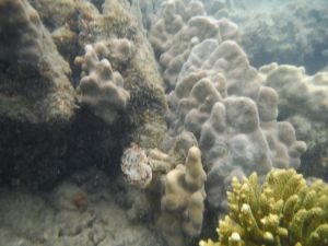 DSCF2905.JPG