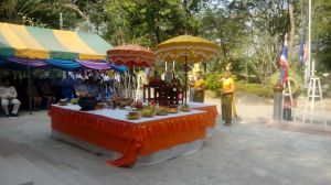 IMG_20160107_100234.jpg