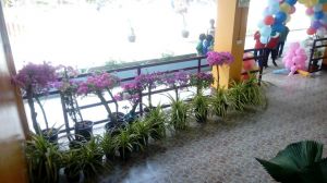 IMG_20160108_094812.jpg