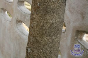 107_10.jpg