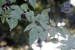 110_3.jpg