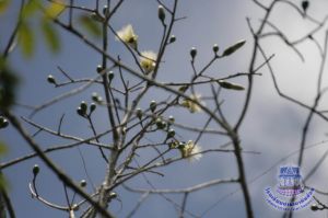 124_10.jpg