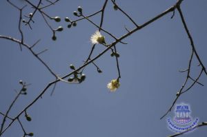 124_9.jpg